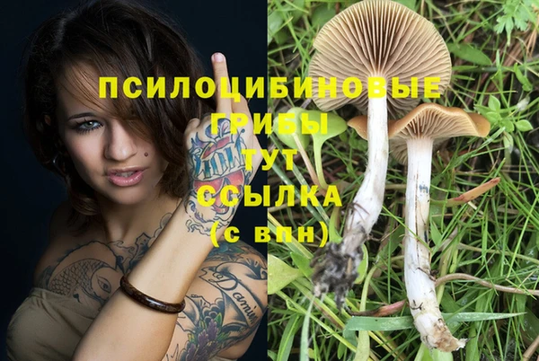 мескалин Михайловка