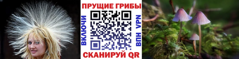 хочу   Чердынь  OMG онион  Псилоцибиновые грибы ЛСД 